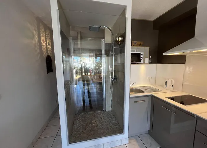 Appartamento 2 Couchages Cap D'agde Naturisme Cn040-816 Agde